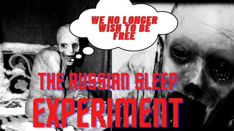 russian sleep experiment explained